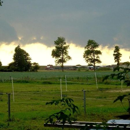 Deich Im Landhaus Michaela Friedrichskoog Buitenkant foto