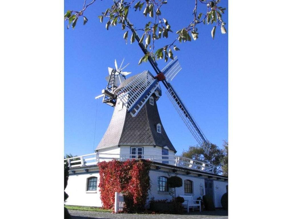 Deich Im Landhaus Michaela Friedrichskoog Buitenkant foto